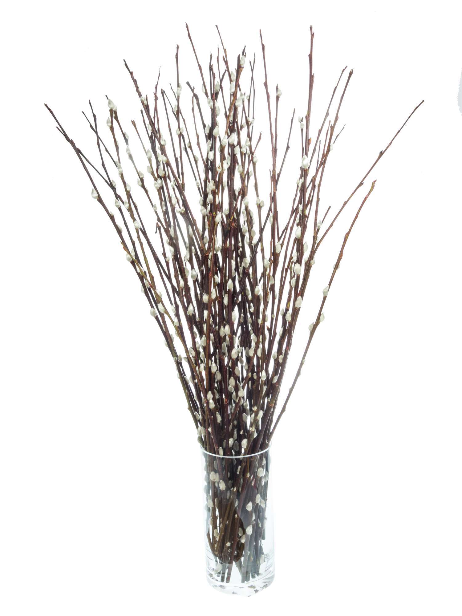 blumigo-zweige-weidenk-tzchen-mittellang-natur-f-r-vase image 4