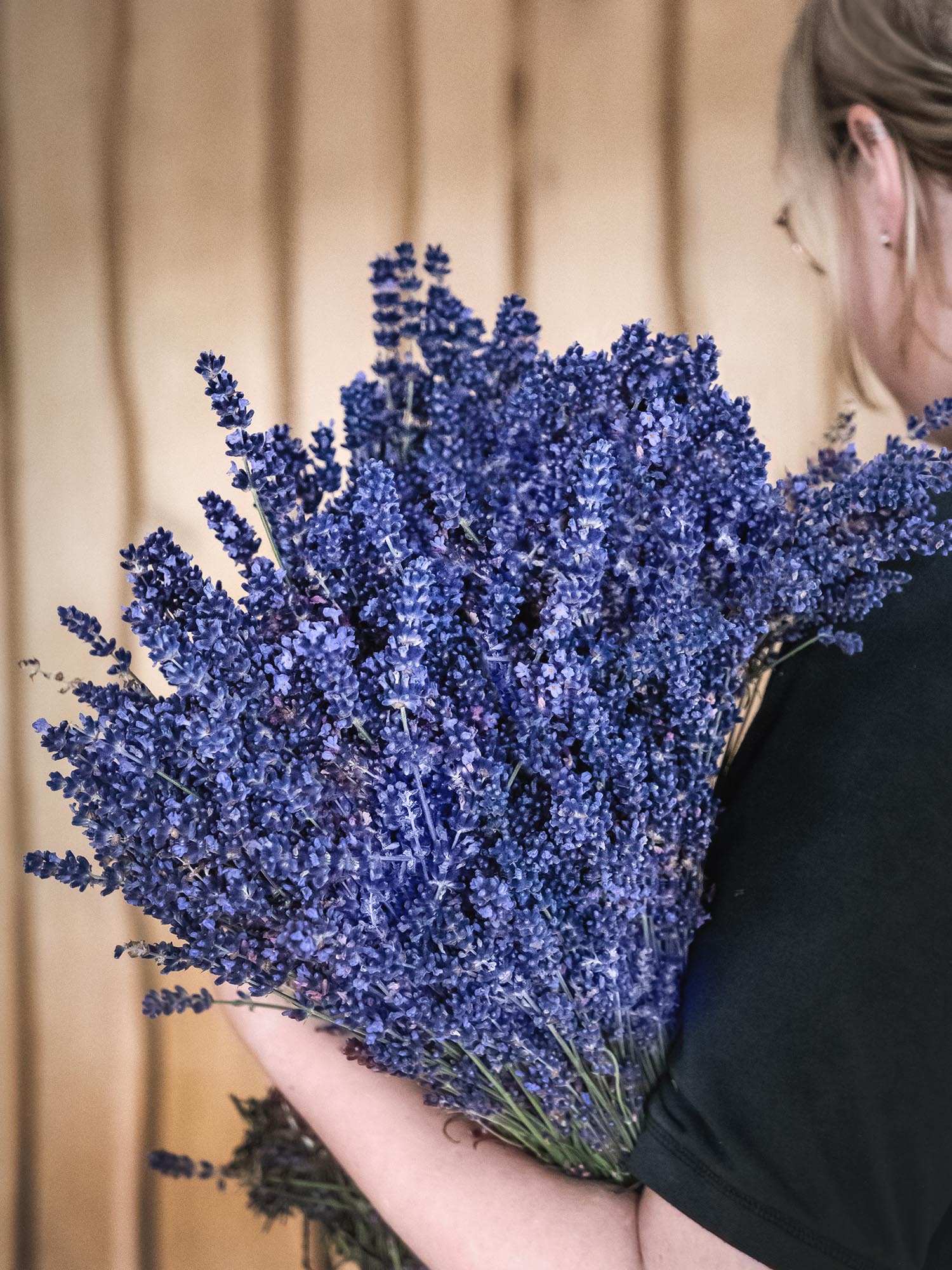 blumigo-lavendel-frisch-geschnitten-bindegr-n-bund image 6