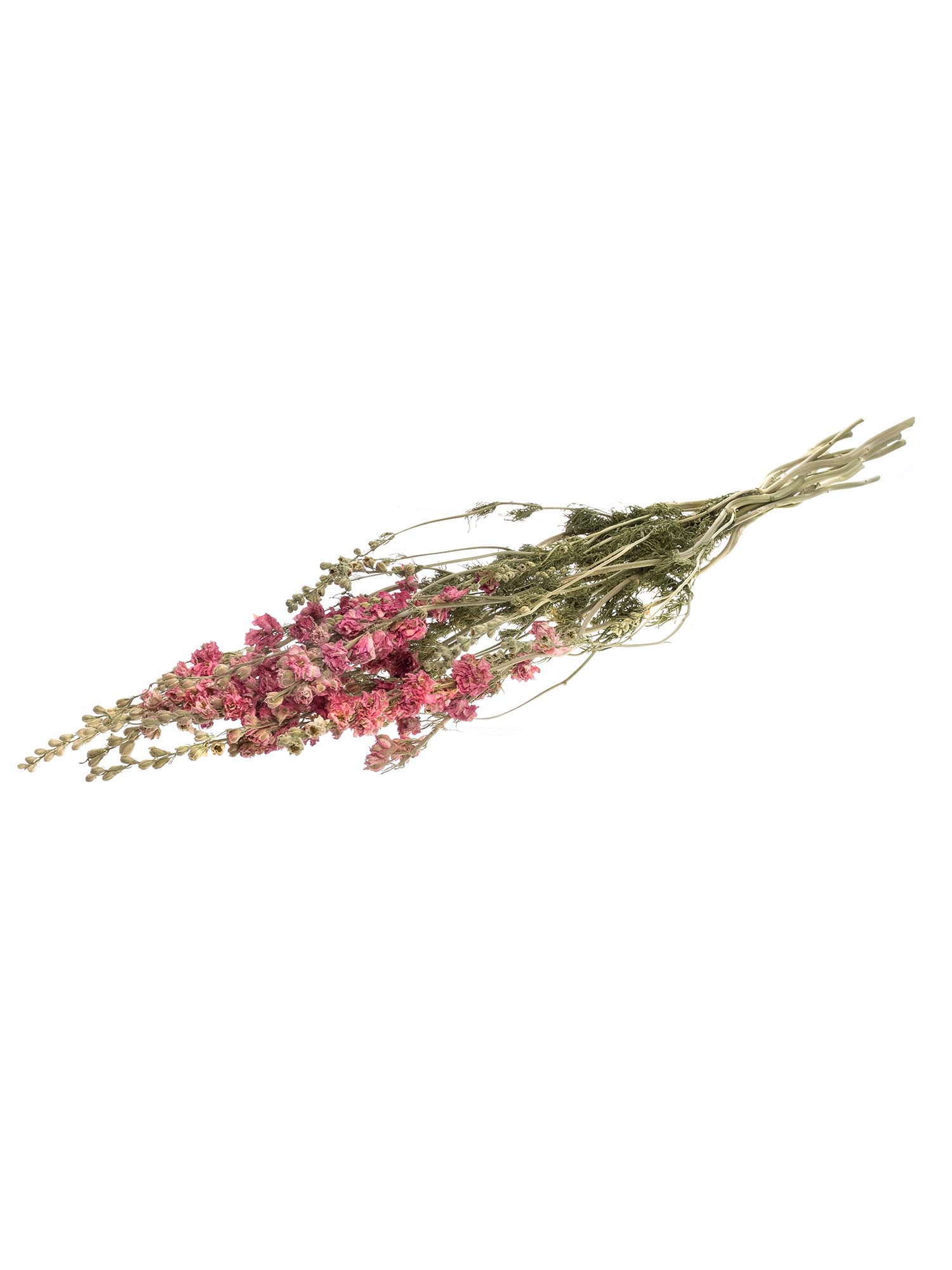 blumigo-trockenblumen-rittersporn-rosa-getrocknet image 3