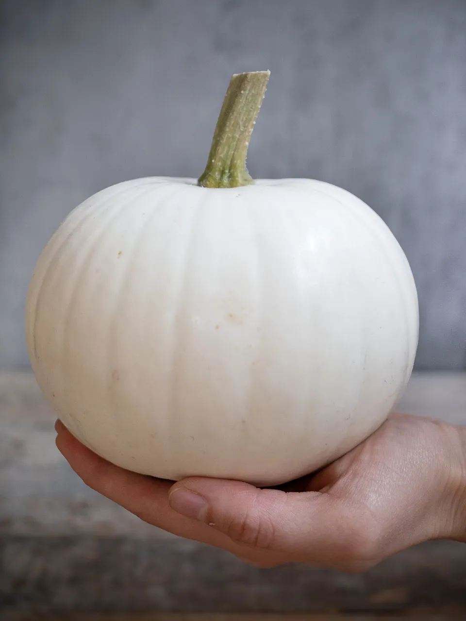 blumigo-zierk-rbis-snowball-wei-herbstdeko image 1