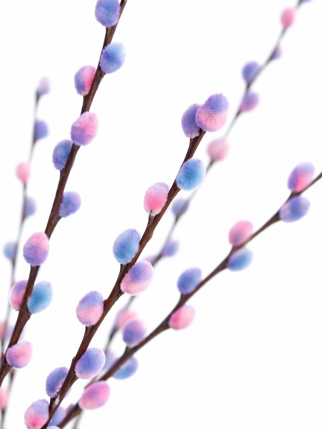 blumigo-zweige-weidenk-tzchen-bubblegum-blau-violett image 2