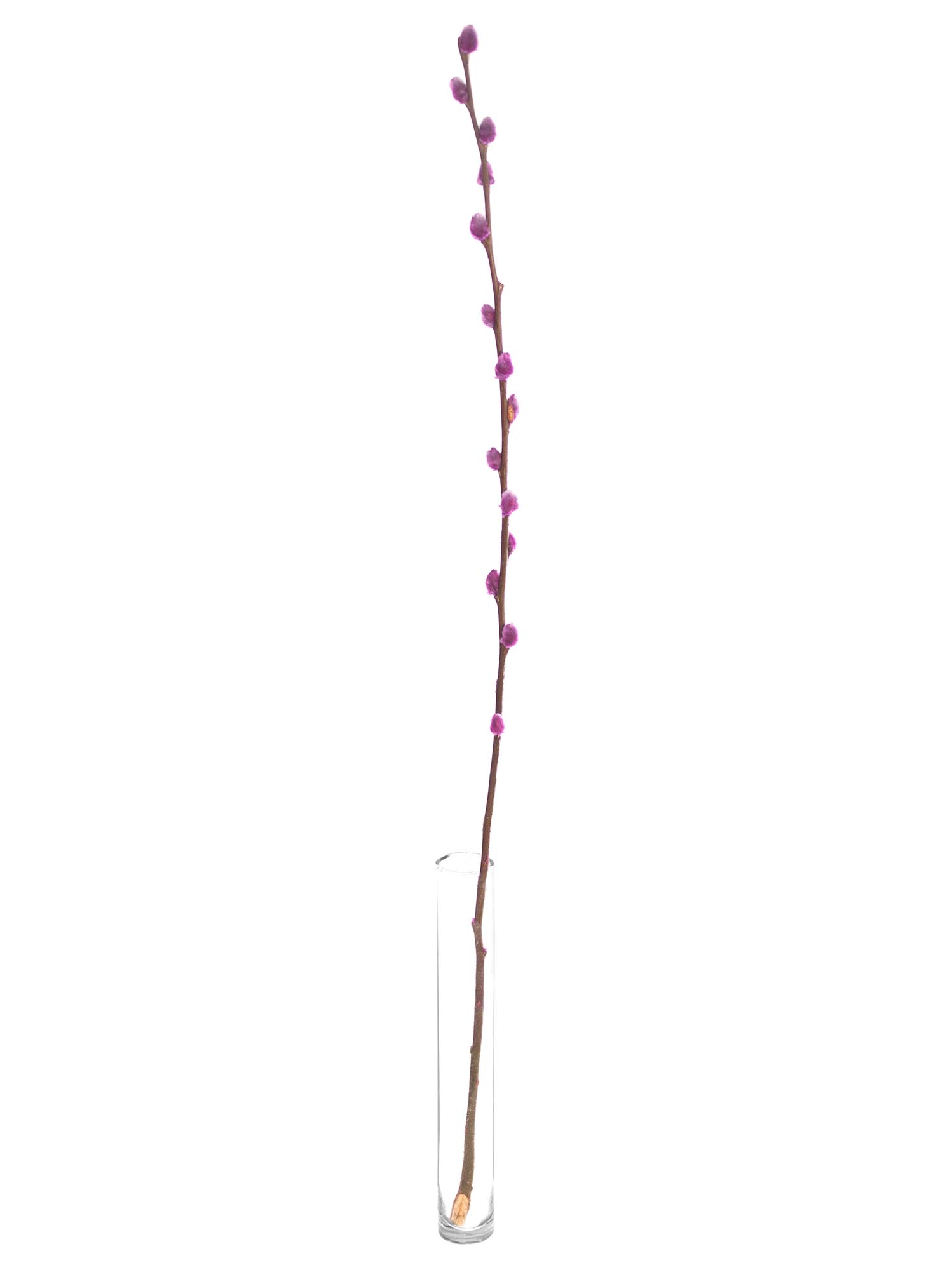 blumigo-weidenk-tzchen-zweige-bunt-eingef-rbt-deko image 8