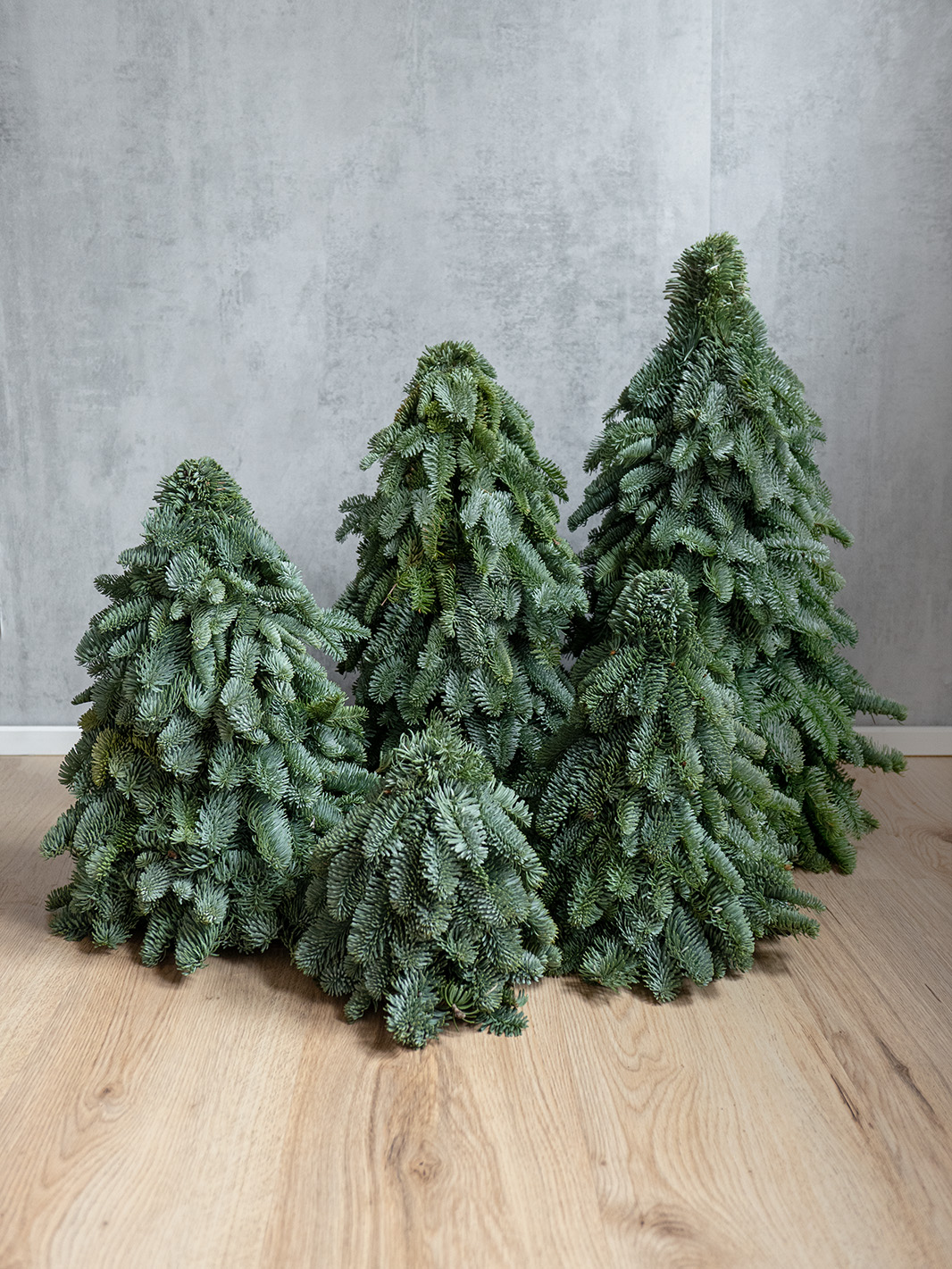 blumigo-tannengr-n-gesteckte-tannenb-ume-mini-weihnachtsbaum image 7