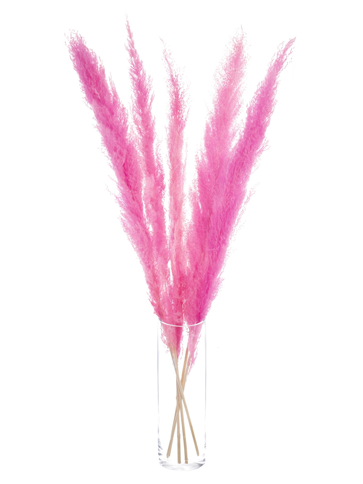 blumigo-pampasgras-getrocknet-pink-deko-wedel image 2